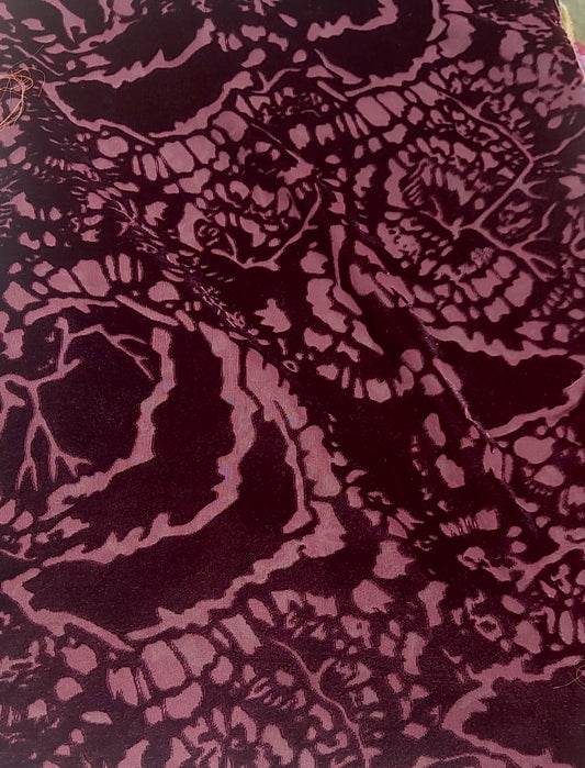 Burgundy Elan